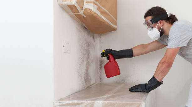 Professional Bathroom Mold Removal technician working in Hope Mills, NC
