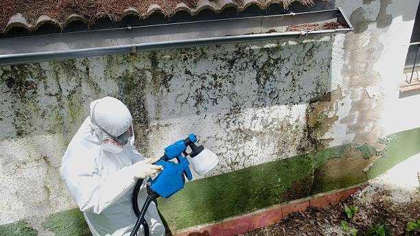 Top rated local Bathroom Mold Removal specialists in Hope Mills, NC